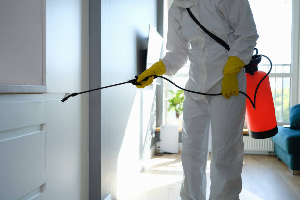Water Damage Restoration in Forest Heights, TX