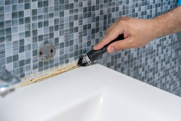 Best Mold Removal Near Me  in Forest Heights, TX